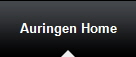 Auringen Home