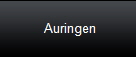 Auringen